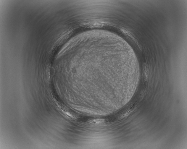 X0000059220501200511111525