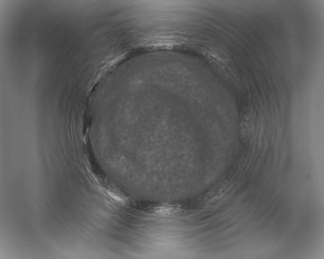 X0000059220504200511111525