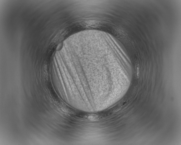 X0000059220506200511111525