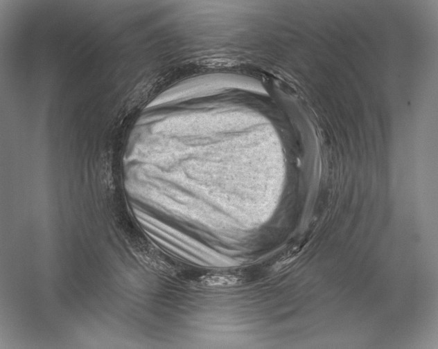 X0000059220512200511111525