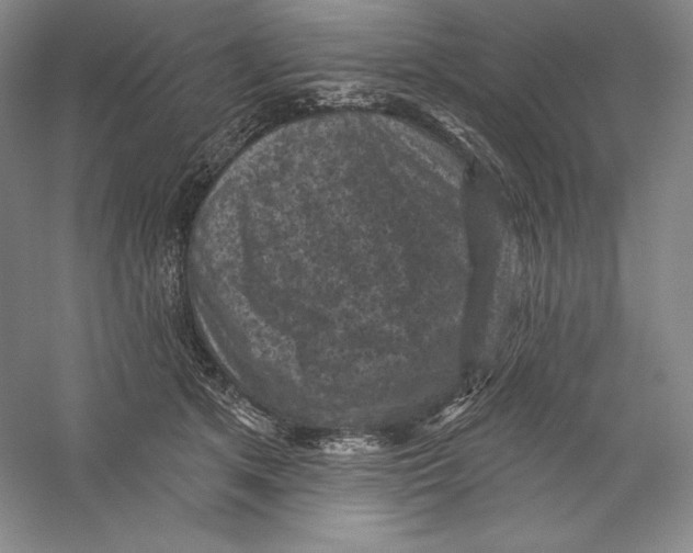 X0000059220513200511111525