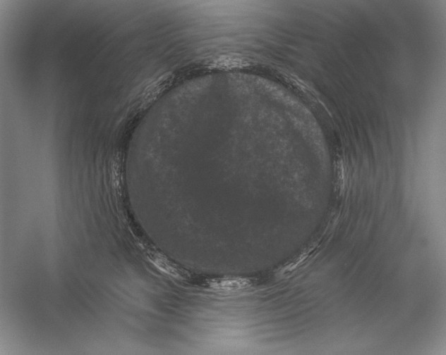X0000059220517200511111525