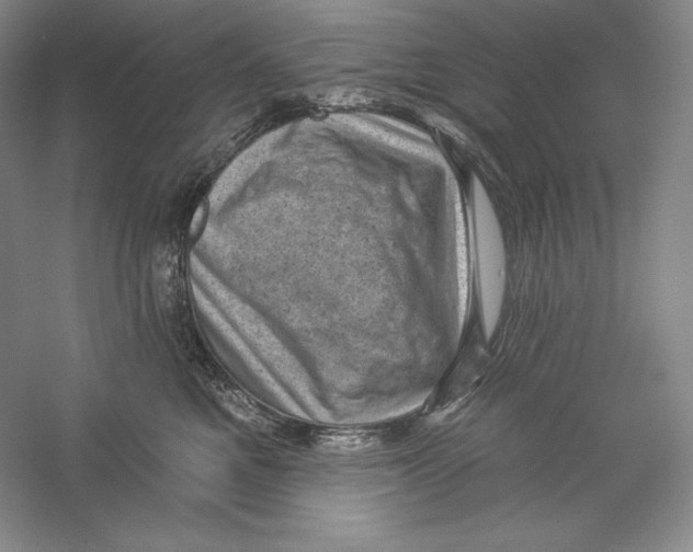 X0000059220521200511111525