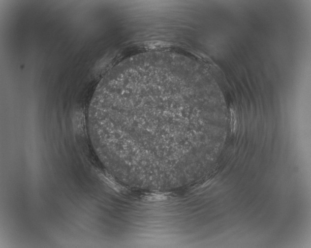 X0000059220523200511111525