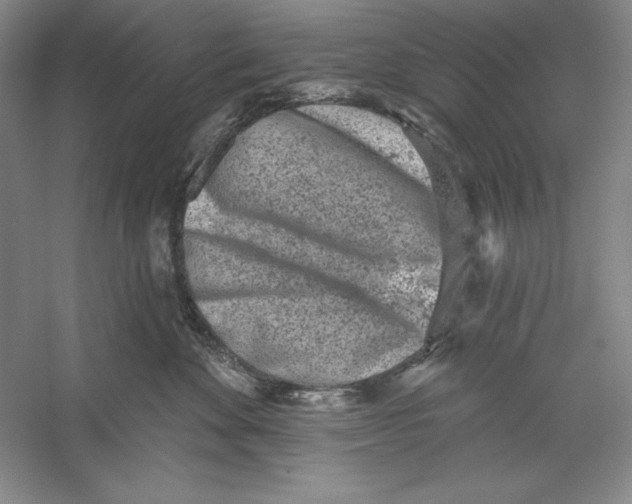 X0000059220524200511111525