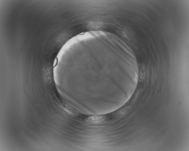 X0000059220526200511111525