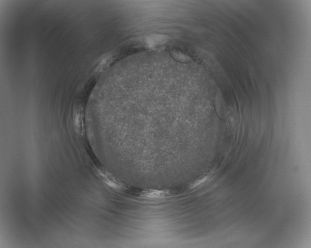 X0000059220527200511111525