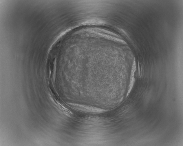 X0000059220531200511111524