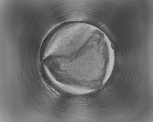 X0000059220532200511111524