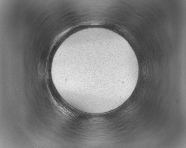 X0000059220536200511111524