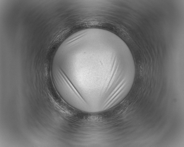 X0000059220546200511111524