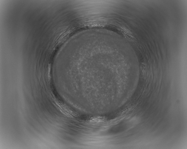 X0000059220550200511111524