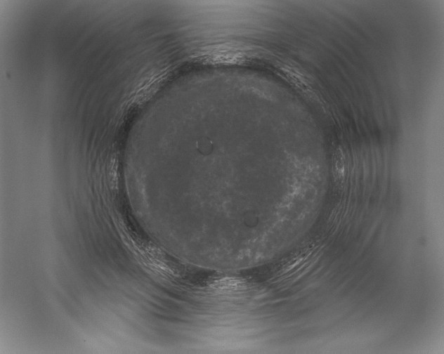 X0000059220551200511111524