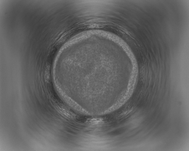 X0000059220554200511111524