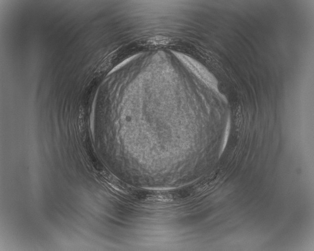 X0000059220559200511111525