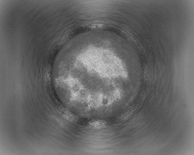 X0000059220561200511111525