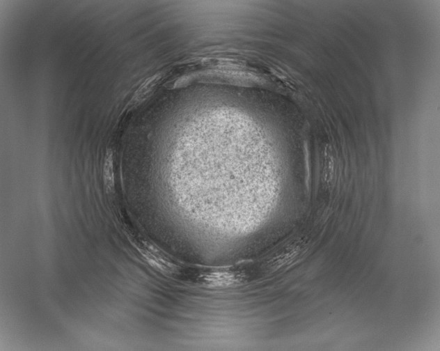 X0000059220562200511111525