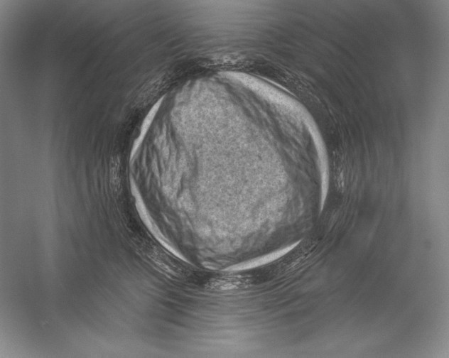 X0000059220563200511111525