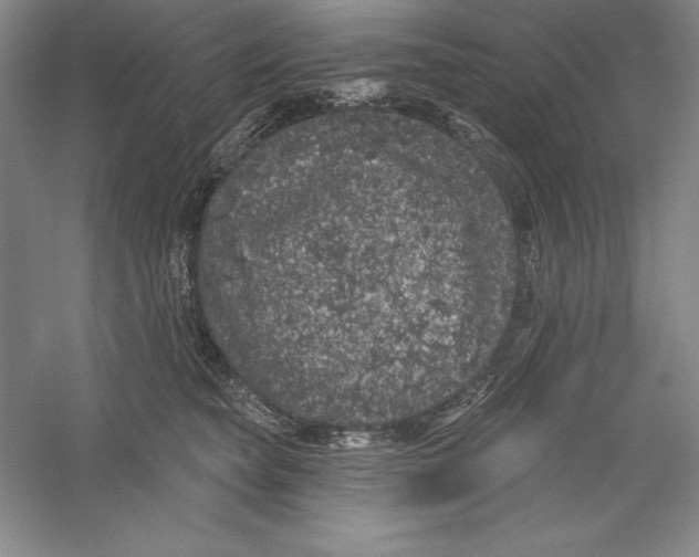 X0000059220565200511111525
