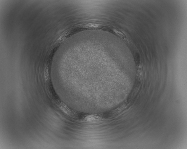 X0000059220568200511111525
