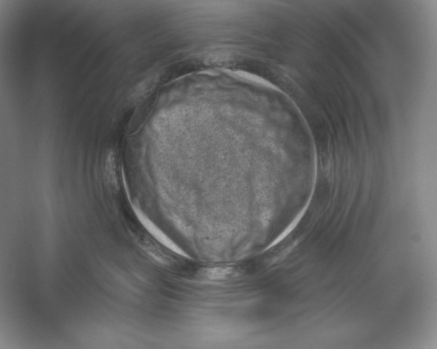 X0000059220575200511111525