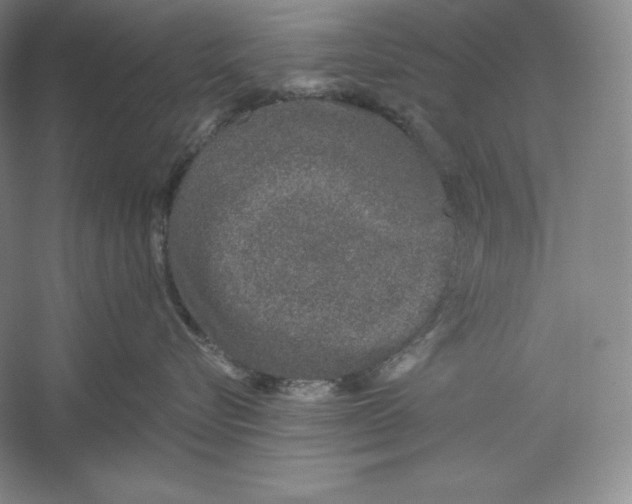 X0000059220576200511111525