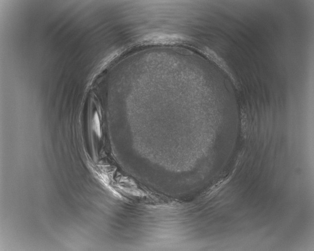 X0000059220581200511111524