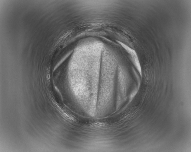 X0000059220593200511111524