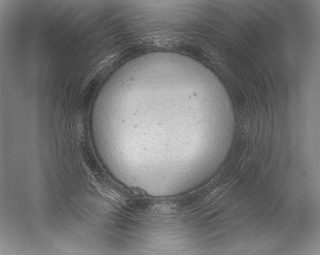 X0000059220595200511111524