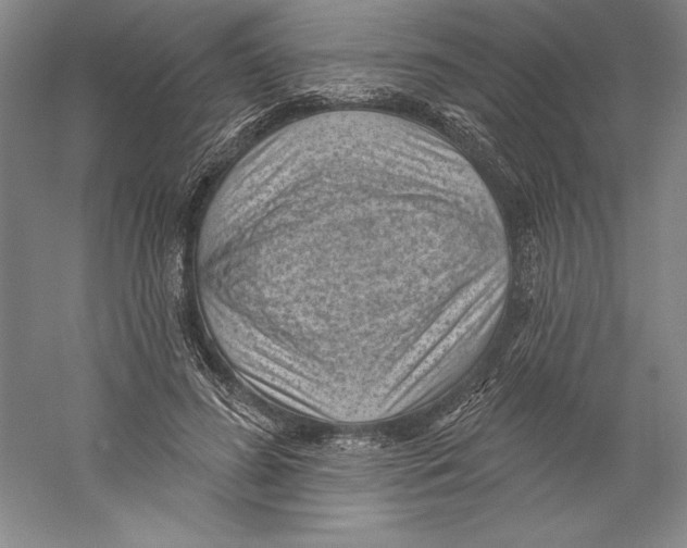 X0000059220596200511111524
