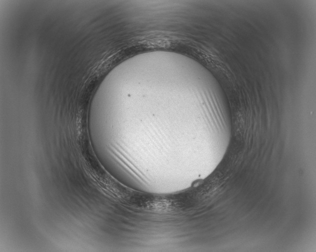 X0000059220600200511111524