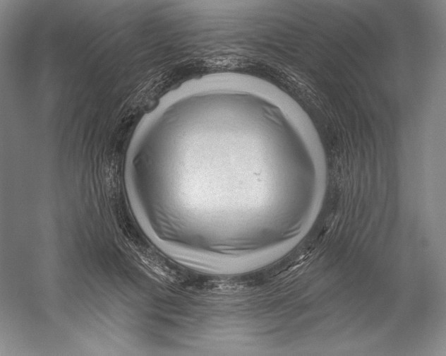 X0000059220601200511111524