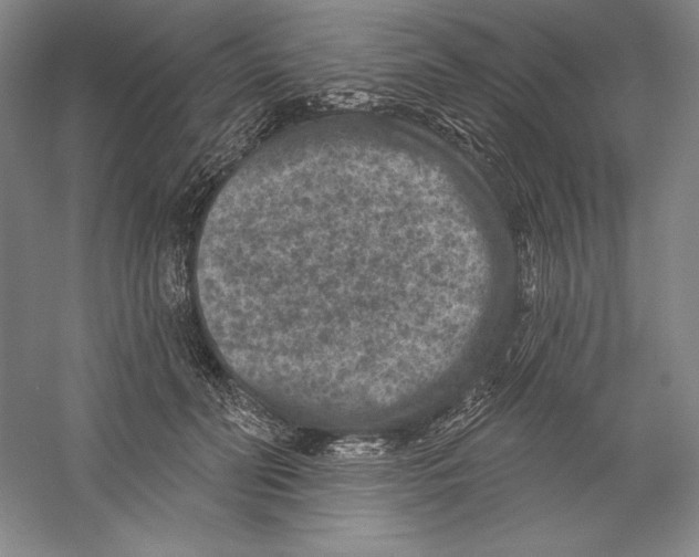 X0000059220606200511111523