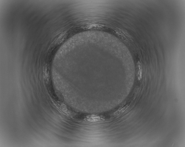 X0000059220607200511111523
