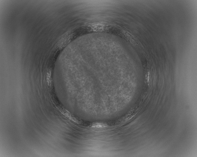 X0000059220610200511111523