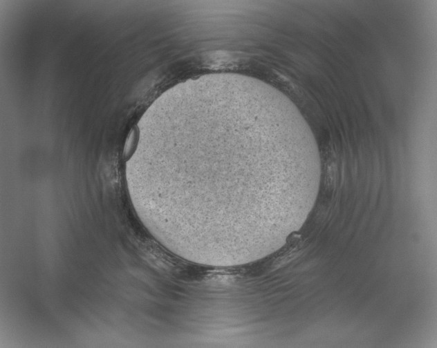 X0000059220620200511111523