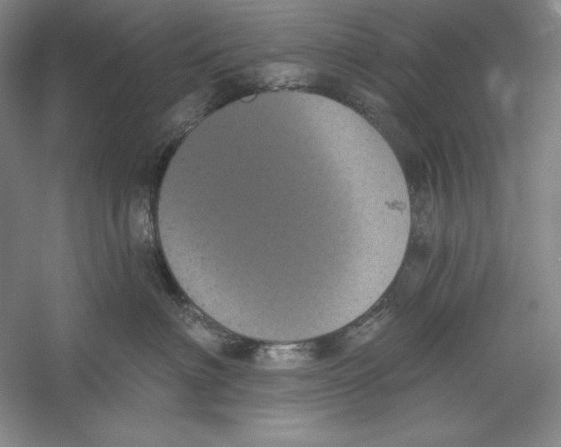 X0000059220622200511111523