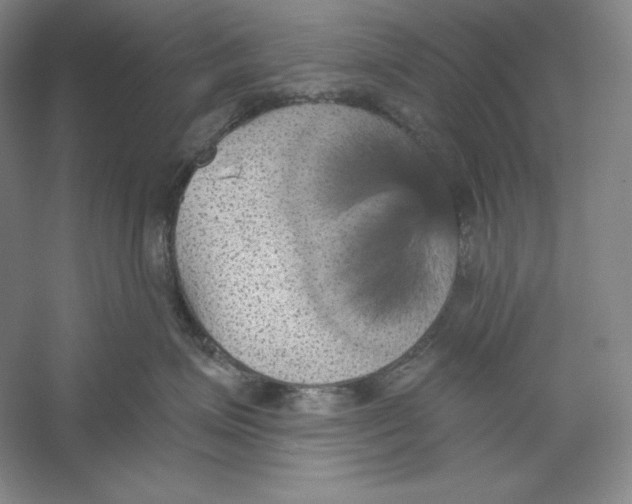 X0000059220623200511111523