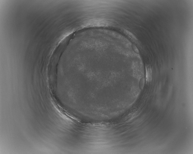 X0000059220627200511111522