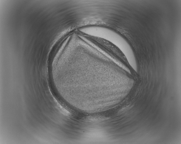 X0000059220630200511111522