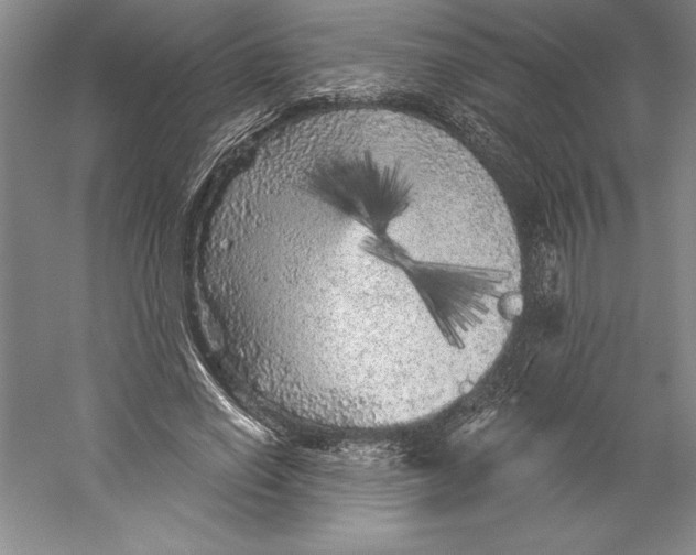 X0000059220638200511111523