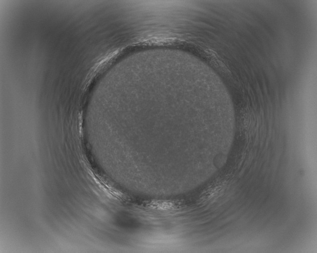 X0000059220640200511111523