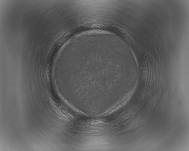 X0000059220643200511111523