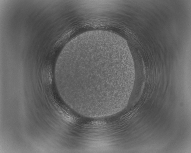 X0000059220644200511111523