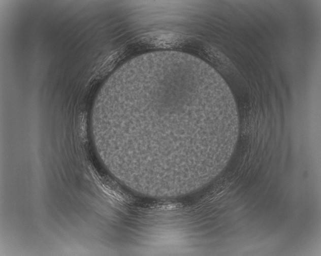 X0000059220646200511111523