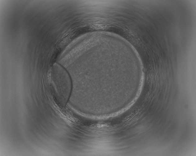 X0000059220647200511111523