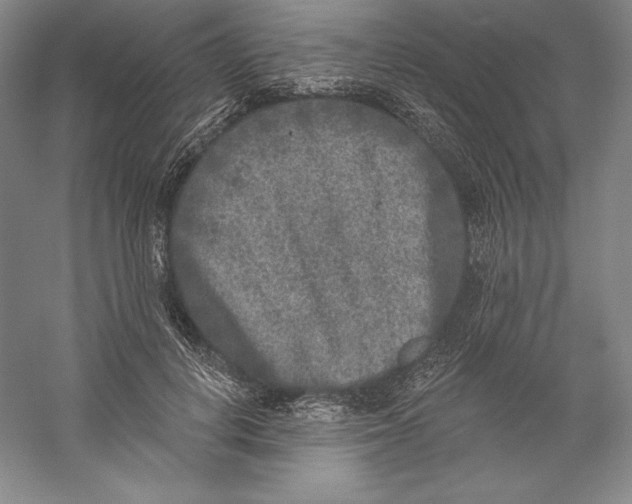 X0000059220648200511111523