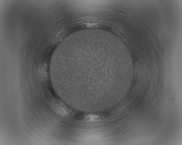 X0000059220650200511111523
