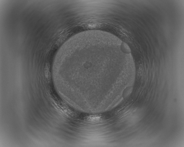 X0000059220651200511111523
