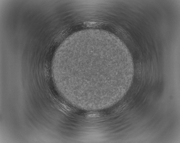X0000059220653200511111523